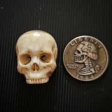 Load image into Gallery viewer, 1&quot; Jawless Skull Patch